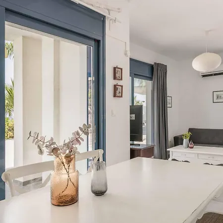 Seashell Skala Spathion